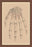 Bones of the Upper Row 20x30 poster