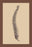 Backbone 20x30 poster