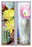 Flower, Cactus, and Flower 20x30 poster