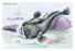 Fishing FrOF 20x30 poster