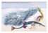 Fifteen Spined Stickleback Nest and Eggs 20x30 poster