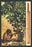 Cinnamon 20x30 poster