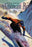 American Boy, February 1939 20x30 poster