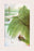 Early Spring in Southern China 20x30 poster