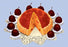 Spanish Bomb Cake 20x30 poster