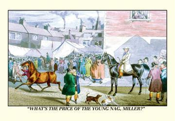 What's the Price of the Young Nag, Miller? 20x30 poster