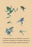 Grenouille Papoue (Frogs) et al. 20x30 poster