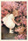 Betty's Posy Shop 20x30 poster