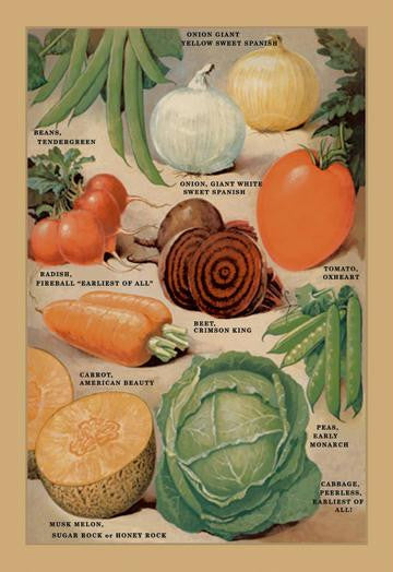 Garden Richness #1 20x30 poster