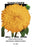 Sunflower 20x30 poster