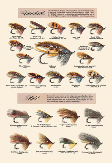 Fly-Fishing Lures: Standard and Hair 20x30 poster