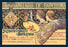 Ayuntamiento de Barcelona 20x30 poster