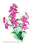 Browallia Speciosa Major 24x36 Giclee