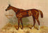 Emblem  Steeplechase Mare 24x36 Giclee