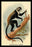 Boutourlini's Guenon 24x36 Giclee