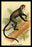 DeBrazza's Guenon 24x36 Giclee