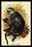 Hose's Langur 24x36 Giclee