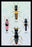 Beetles from Britain  Brazil  and North America #1 24x36 Giclee
