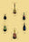 Beetles From Around the World #2 24x36 Giclee