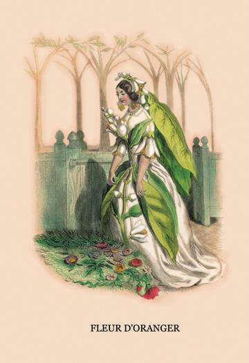 Fleur d'Oranger 28x42 Giclee on Canvas