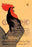 Cocorico 28x42 Giclee on Canvas