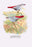 Lavender Finch 28x42 Giclee on Canvas