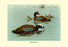 Hartlaus's Teal 28x42 Giclee on Canvas
