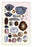 Shells: Monomyaria  Pteropoda  and Gasteropoda 28x42 Giclee on Canvas