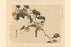 Hawk and Peaches 28x42 Giclee on Canvas