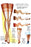 A Hosiery Service for a Fashion Frocks' Customer 28x42 Giclee on Canvas