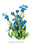 Anchusa Italica Var 12x18 Giclee on canvas