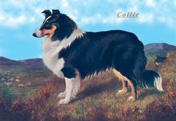 Reverend Hamilton's Collie 12x18 Giclee on canvas