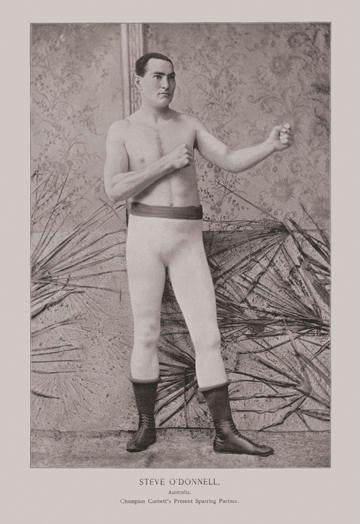Steve O'Donnell - Australian Boxer 12x18 Giclee on canvas