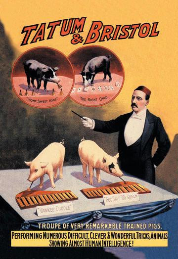 Tatum and Bristol's Troupe of Trained Pigs 12x18 Giclee on canvas