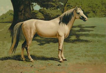 General Grant's Charger 12x18 Giclee on canvas