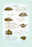 Headwear 12x18 Giclee on canvas