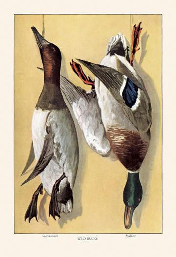 Wild Ducks 12x18 Giclee on canvas