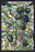 Olives 12x18 Giclee on canvas