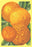 Oranges 12x18 Giclee on canvas