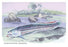 OsteOFlossum Arowana 12x18 Giclee on canvas