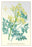 The Golden-Flowered Dielytra 12x18 Giclee on canvas