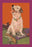 The Lost Slipper 12x18 Giclee on canvas
