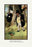 Teddy Roosevelt's Bears: A Small Brown Bird 12x18 Giclee on canvas