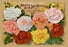 Maule's Up to Date Collection 12x18 Giclee on canvas