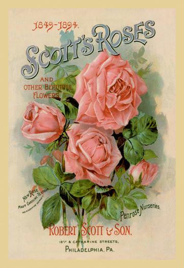 Scott's Roses and Other Beautiful Flowers 12x18 Giclee on canvas