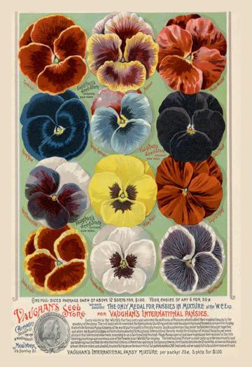 Vaughan's Seed Store - Pansies 12x18 Giclee on canvas