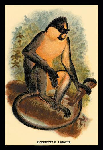 Everett's Langur 12x18 Giclee on canvas