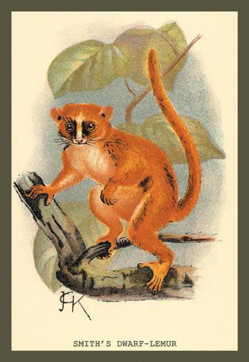 Smith's Dwarf-Lemur 12x18 Giclee on canvas