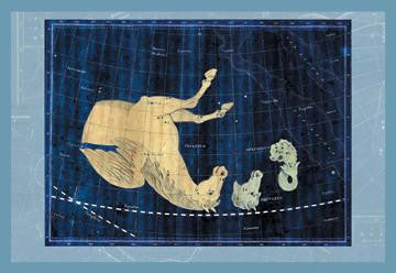 Delphinus  Equuleus and Pegassus #1 12x18 Giclee on canvas