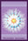 Jellyfish: Pectanthis Asteroides #2 12x18 Giclee on canvas